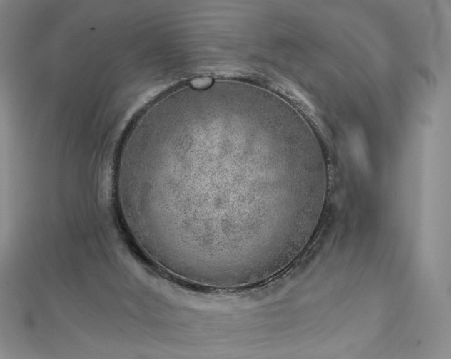X0000112760012200908271630
