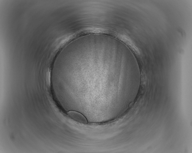 X0000112760014200908271630
