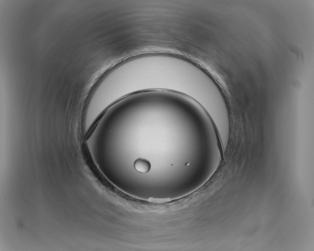 X0000112760015200908271630