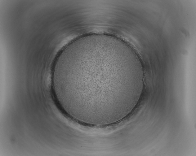 X0000112760016200908271629