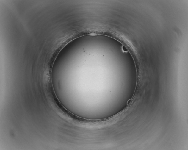 X0000112760017200908271629