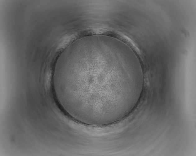 X0000112760018200908271629