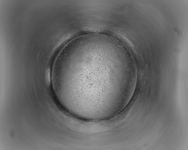 X0000112760020200908271629