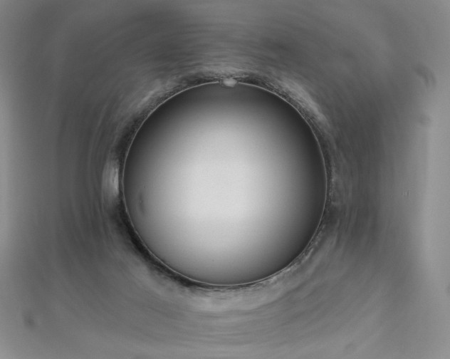 X0000112760021200908271629