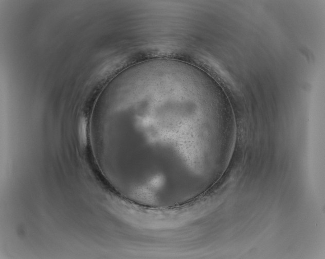 X0000112760022200908271629