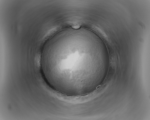 X0000112760023200908271629
