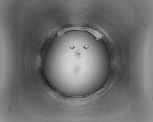 X0000112760025200908271629