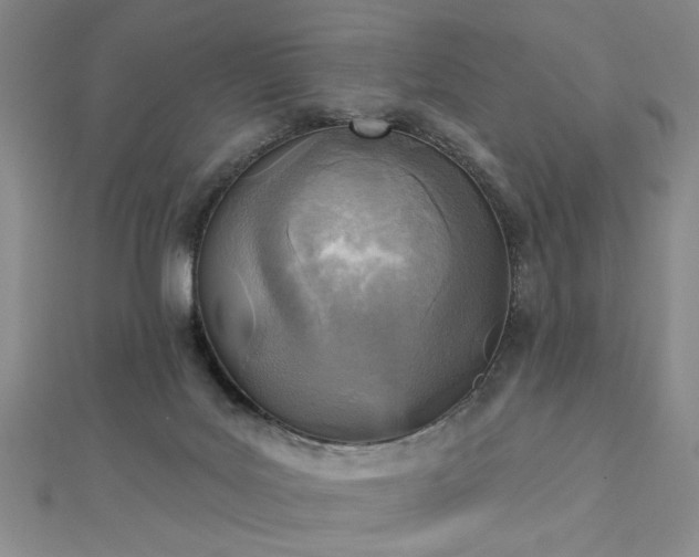 X0000112760027200908271629