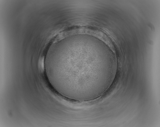 X0000112760028200908271629