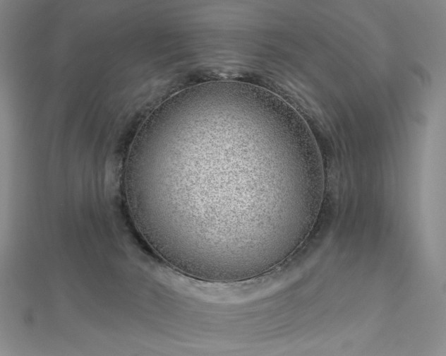X0000112760030200908271629