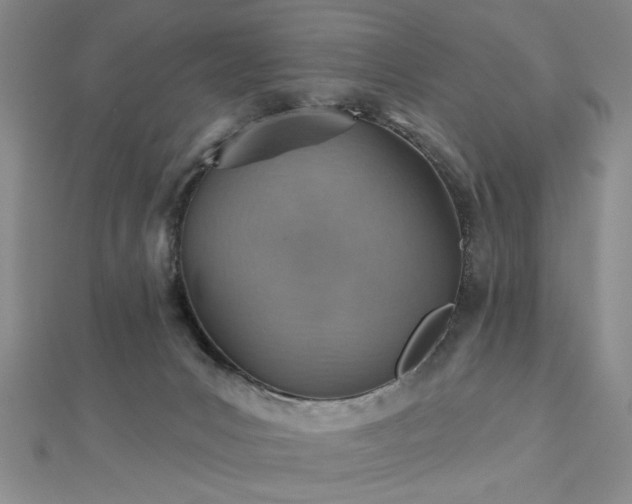 X0000112760031200908271629
