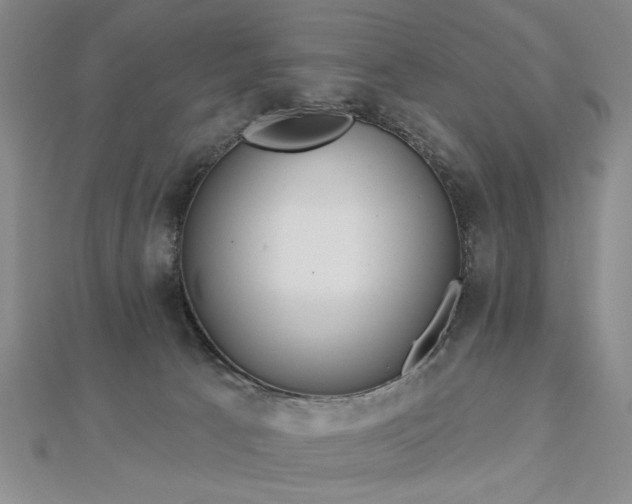 X0000112760033200908271629