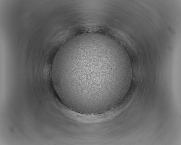 X0000112760034200908271629