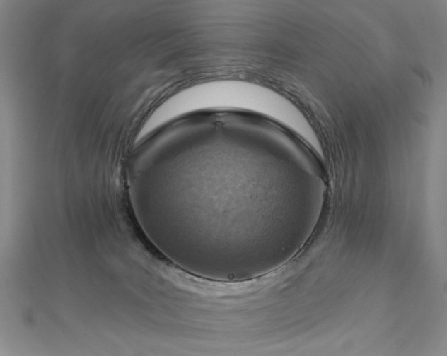 X0000112760035200908271629