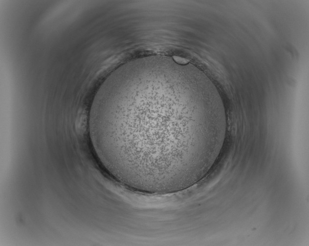 X0000112760036200908271629