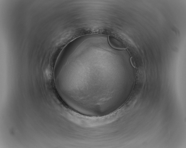 X0000112760039200908271629