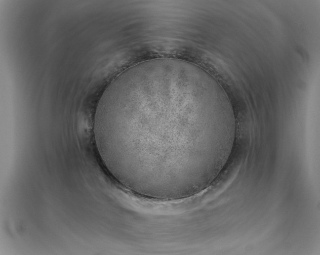 X0000112760040200908271629
