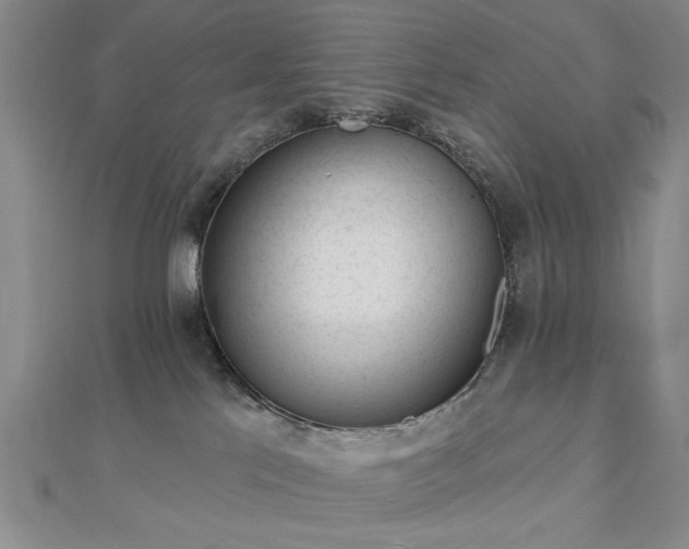 X0000112760041200908271629