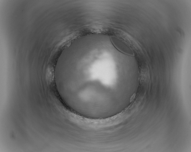 X0000112760043200908271629