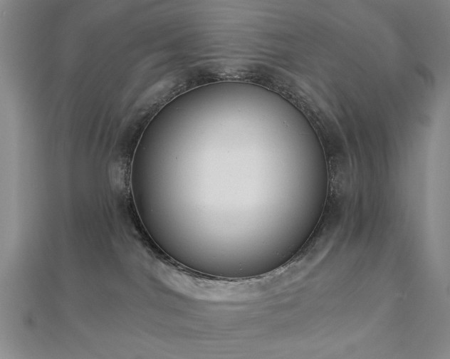 X0000112760044200908271629
