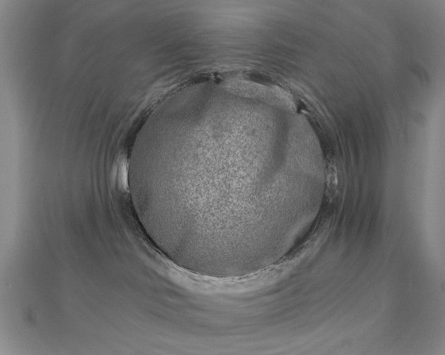 X0000112760046200908271629