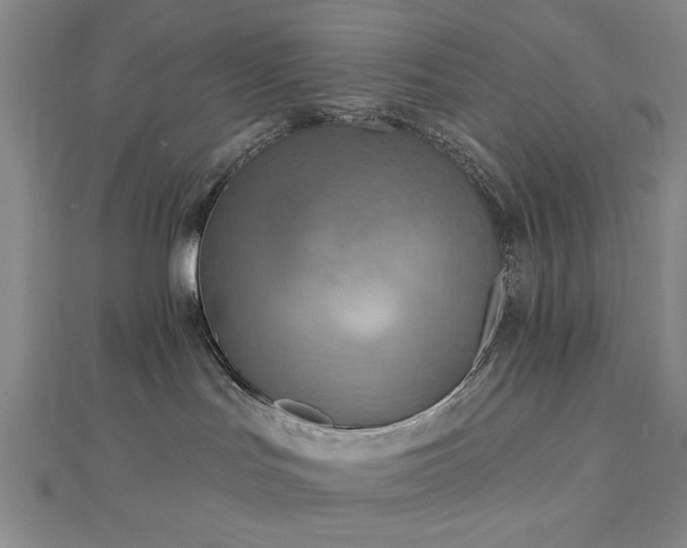 X0000112760047200908271629
