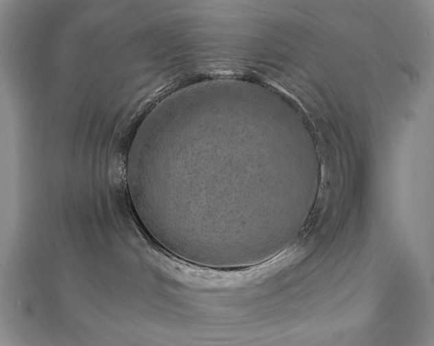 X0000112760048200908271629