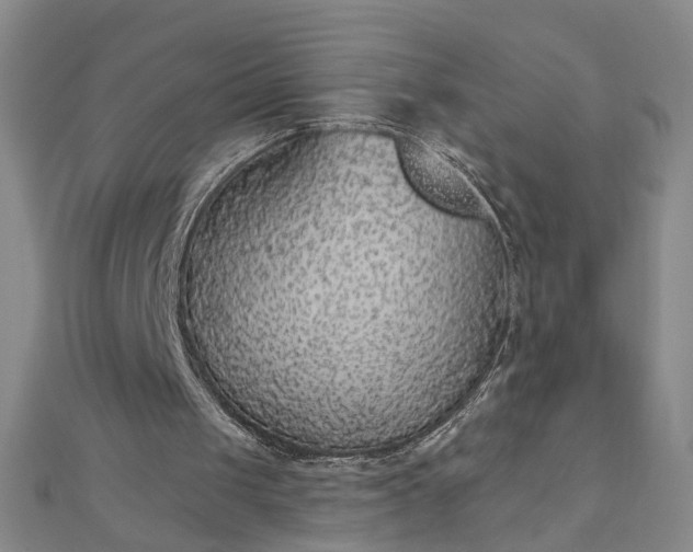 X0000112760049200908271628