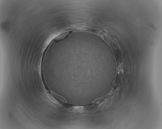 X0000112760052200908271628
