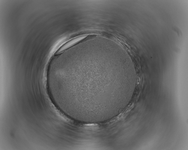 X0000112760053200908271628