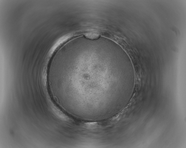 X0000112760054200908271628