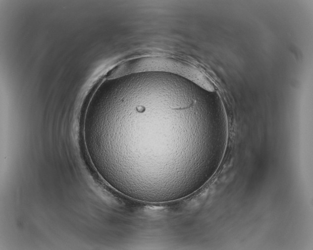 X0000112760055200908271628