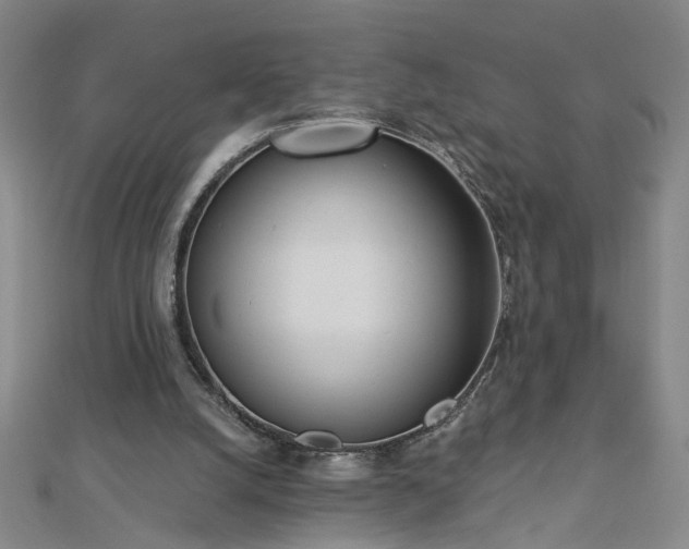 X0000112760056200908271628