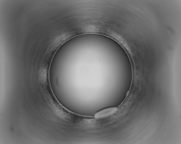 X0000112760057200908271628