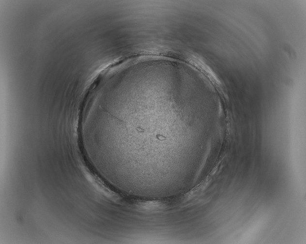 X0000112760058200908271628