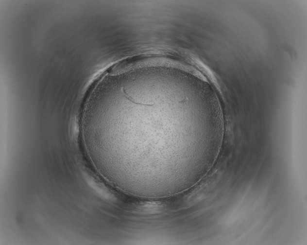 X0000112760059200908271628