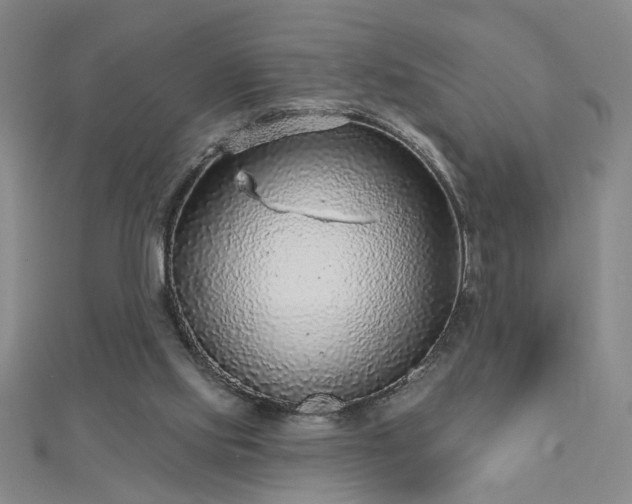 X0000112760061200908271629