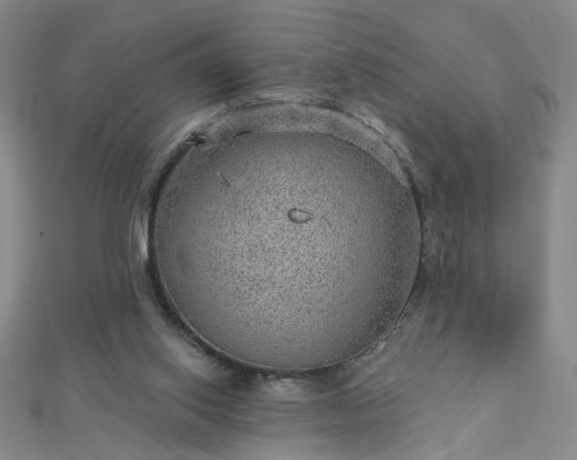 X0000112760062200908271629