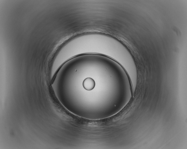 X0000112760064200908271629