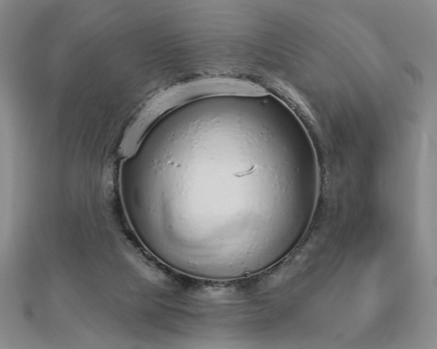 X0000112760065200908271629