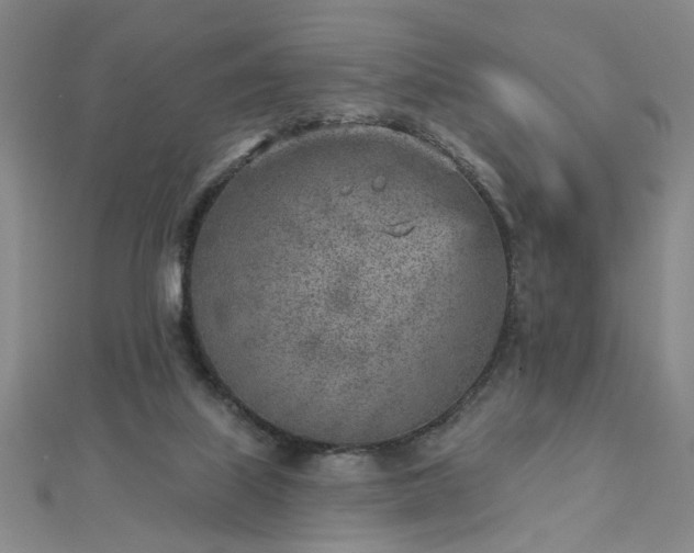X0000112760067200908271629