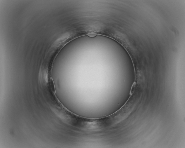 X0000112760068200908271629