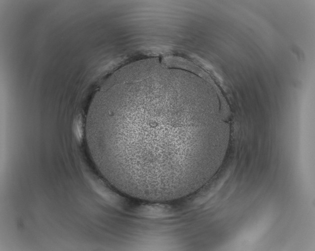 X0000112760069200908271629