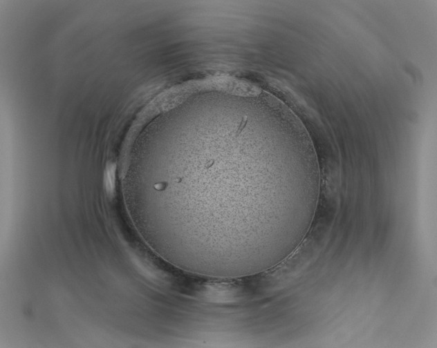 X0000112760070200908271629