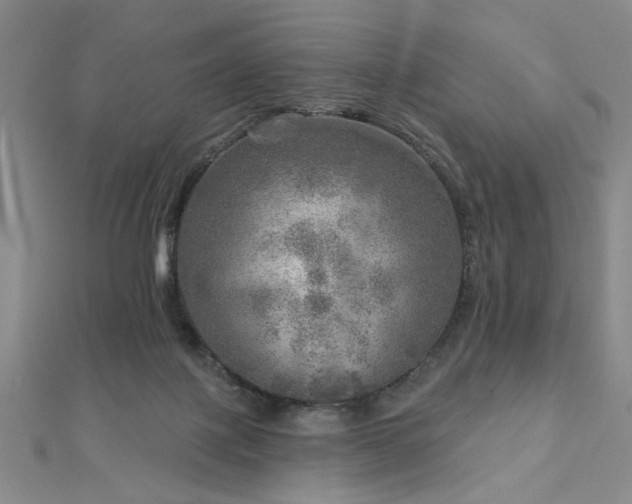 X0000112760075200908271629