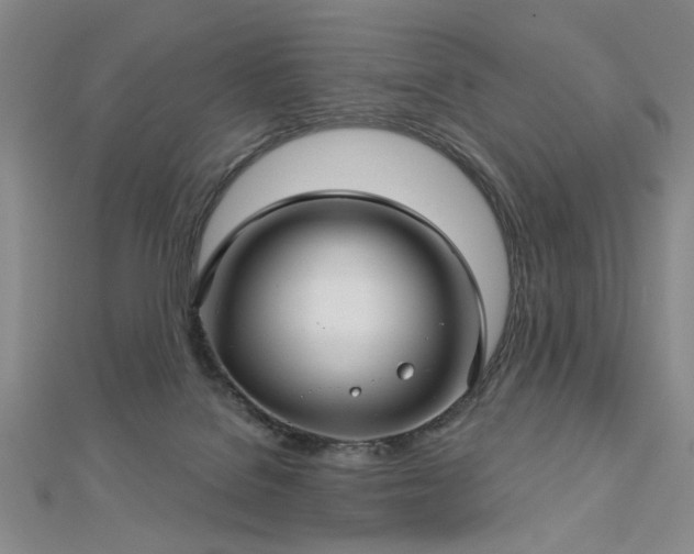 X0000112760076200908271629