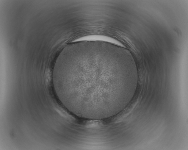 X0000112760077200908271629