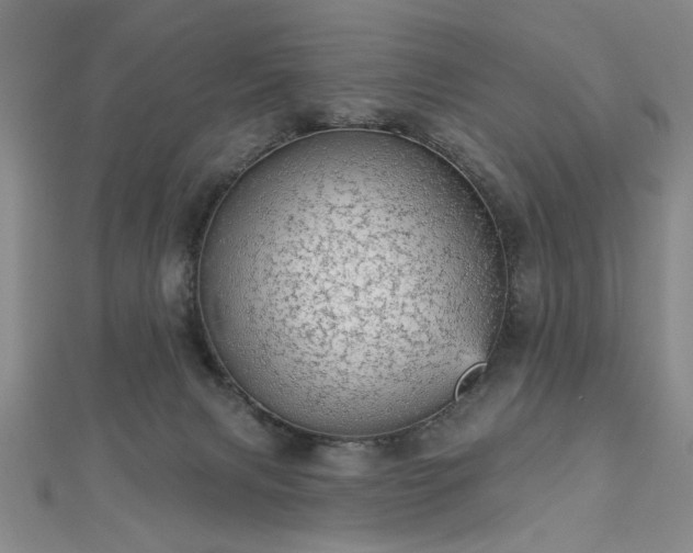 X0000112760079200908271629