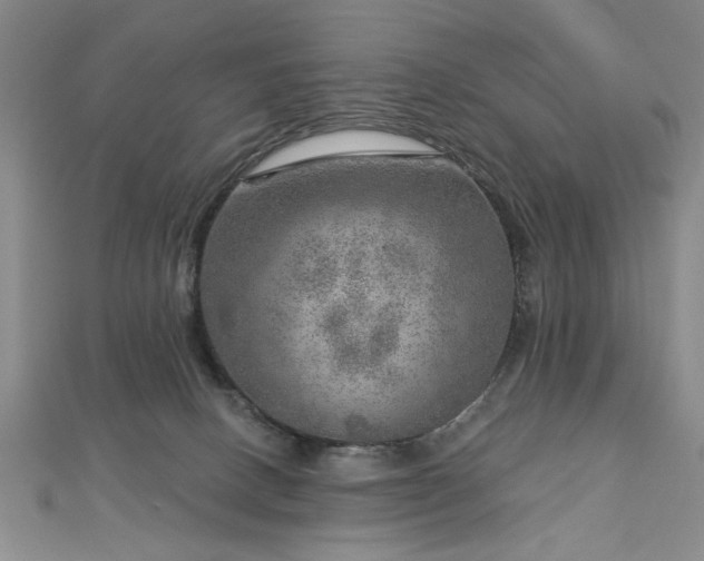 X0000112760082200908271629