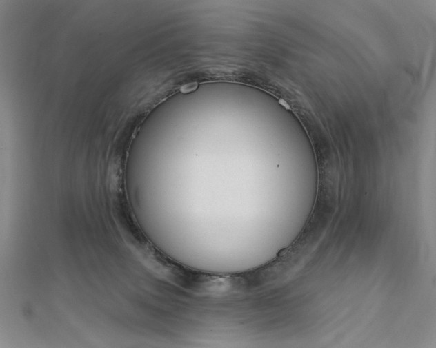 X0000112760083200908271629